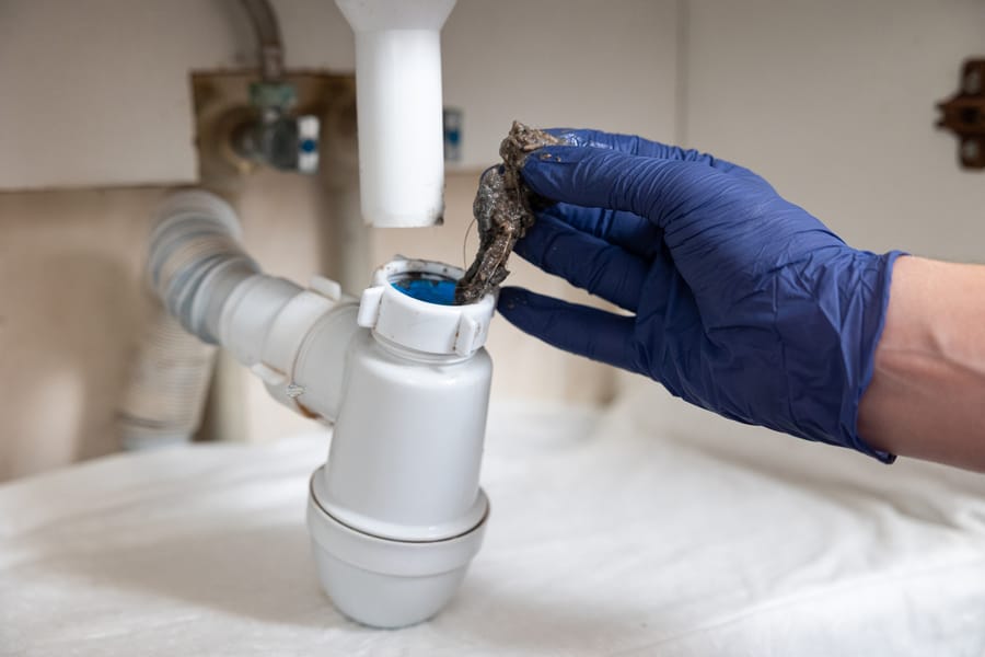 Plumber's hand with glove on cleaning a clogged pipe under the sink